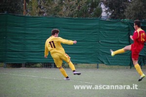 ALL 51117 (44)
